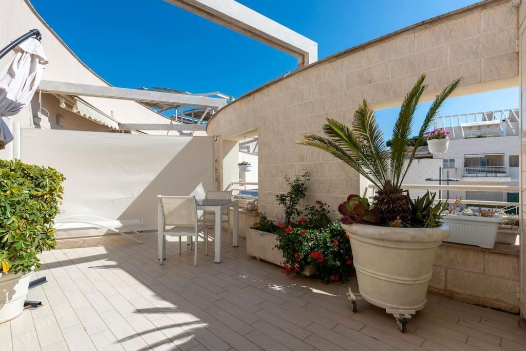 La Suite Sul Borgo Fregenae Exteriér fotografie